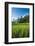 Padi Field in Lake Toba, Sumatra, Indonesia, Southeast Asia-John Alexander-Framed Photographic Print