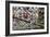 Padlocks Left By Lovers Cover Paris' Pont Des Arts Pedestrian Bridge. Paris, France-Karine Aigner-Framed Photographic Print