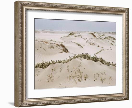 Padre Island Dunes Crested with Grass, White Capped Waves from the Gulf of Mexico Lapping at Shore-Eliot Elisofon-Framed Photographic Print