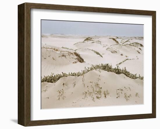 Padre Island Dunes Crested with Grass, White Capped Waves from the Gulf of Mexico Lapping at Shore-Eliot Elisofon-Framed Photographic Print