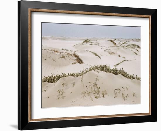 Padre Island Dunes Crested with Grass, White Capped Waves from the Gulf of Mexico Lapping at Shore-Eliot Elisofon-Framed Photographic Print