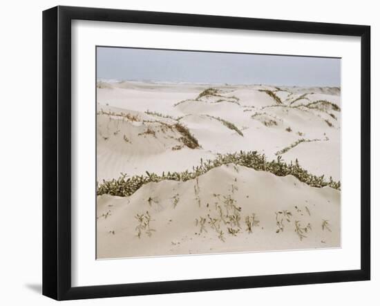 Padre Island Dunes Crested with Grass, White Capped Waves from the Gulf of Mexico Lapping at Shore-Eliot Elisofon-Framed Photographic Print