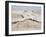 Padre Island Dunes Crested with Grass, White Capped Waves from the Gulf of Mexico Lapping at Shore-Eliot Elisofon-Framed Photographic Print