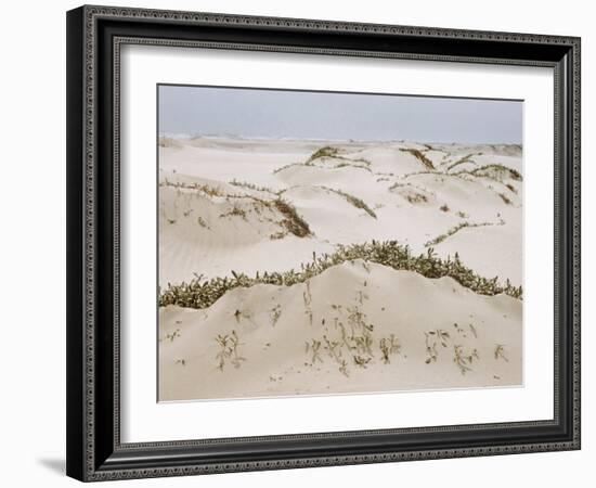 Padre Island Dunes Crested with Grass, White Capped Waves from the Gulf of Mexico Lapping at Shore-Eliot Elisofon-Framed Photographic Print