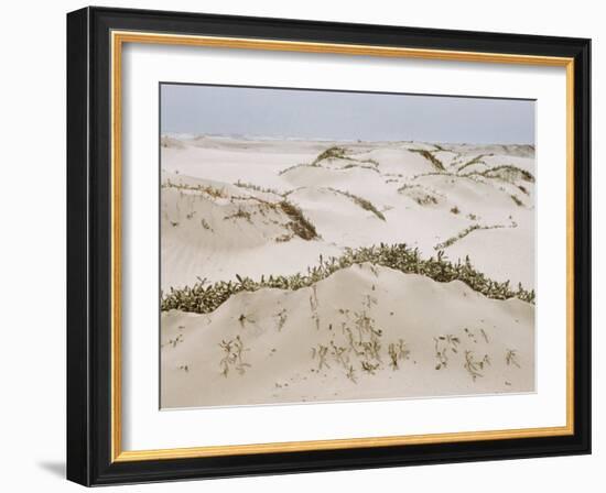 Padre Island Dunes Crested with Grass, White Capped Waves from the Gulf of Mexico Lapping at Shore-Eliot Elisofon-Framed Photographic Print