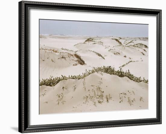 Padre Island Dunes Crested with Grass, White Capped Waves from the Gulf of Mexico Lapping at Shore-Eliot Elisofon-Framed Photographic Print