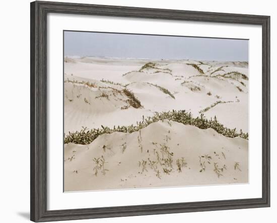 Padre Island Dunes Crested with Grass, White Capped Waves from the Gulf of Mexico Lapping at Shore-Eliot Elisofon-Framed Photographic Print