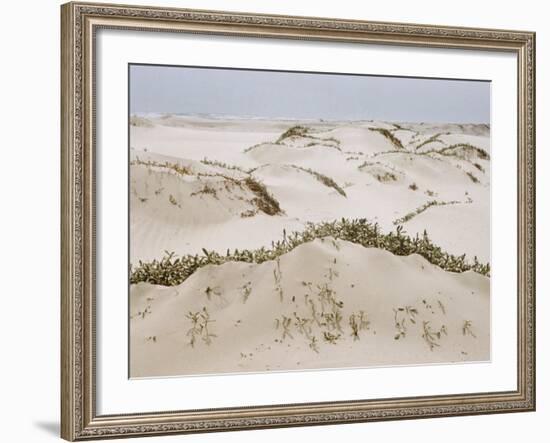 Padre Island Dunes Crested with Grass, White Capped Waves from the Gulf of Mexico Lapping at Shore-Eliot Elisofon-Framed Photographic Print