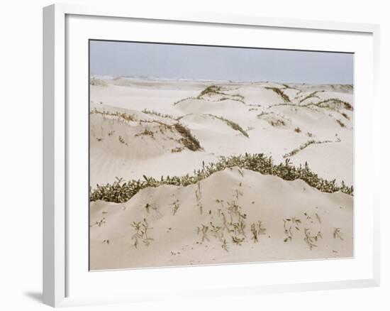 Padre Island Dunes Crested with Grass, White Capped Waves from the Gulf of Mexico Lapping at Shore-Eliot Elisofon-Framed Photographic Print