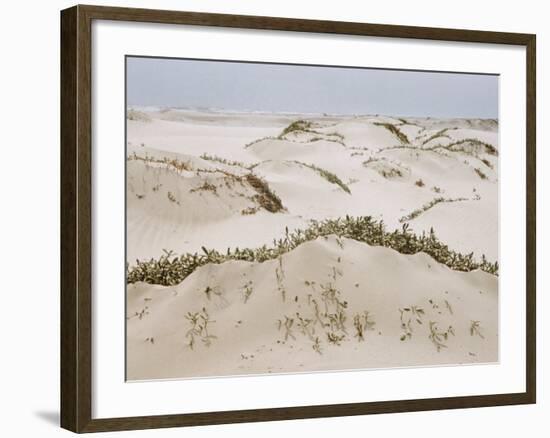 Padre Island Dunes Crested with Grass, White Capped Waves from the Gulf of Mexico Lapping at Shore-Eliot Elisofon-Framed Photographic Print