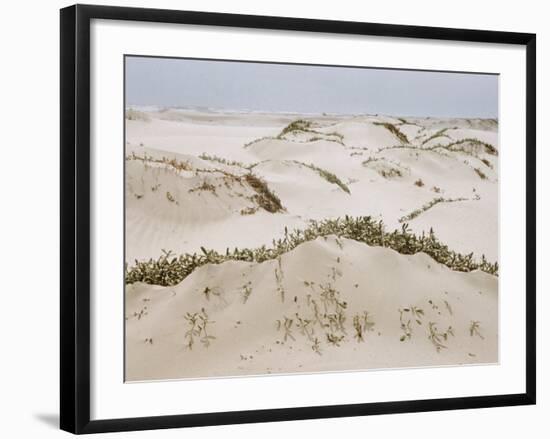 Padre Island Dunes Crested with Grass, White Capped Waves from the Gulf of Mexico Lapping at Shore-Eliot Elisofon-Framed Photographic Print