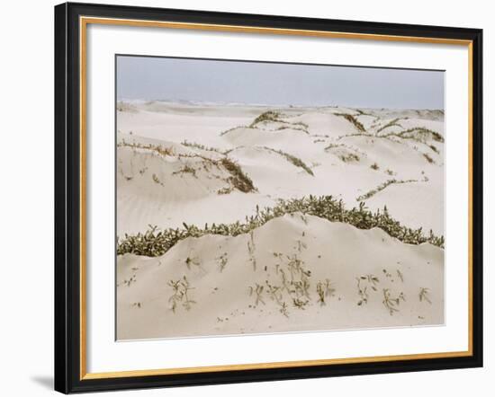 Padre Island Dunes Crested with Grass, White Capped Waves from the Gulf of Mexico Lapping at Shore-Eliot Elisofon-Framed Photographic Print