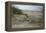 Padre Island National Seashore - Kemp's Ridley Sea Turtle Hatching-Lantern Press-Framed Stretched Canvas