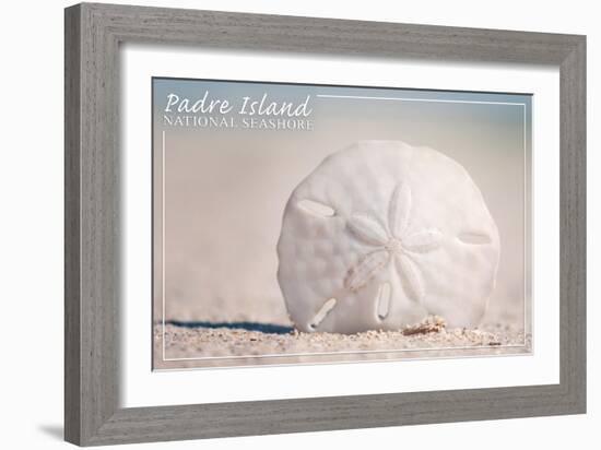 Padre Island National Seashore - Sand Dollar-Lantern Press-Framed Art Print