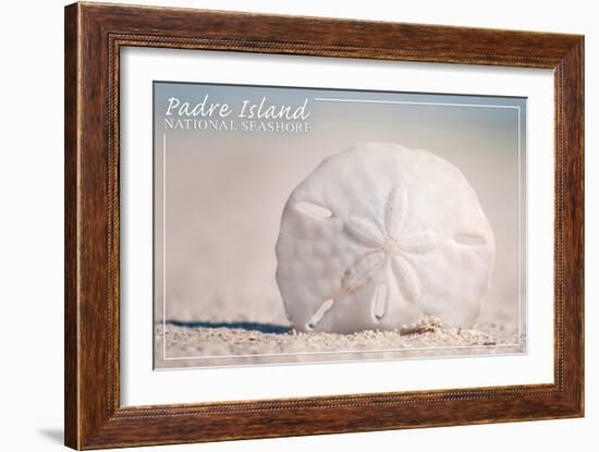 Padre Island National Seashore - Sand Dollar-Lantern Press-Framed Art Print