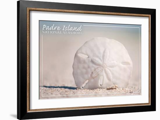 Padre Island National Seashore - Sand Dollar-Lantern Press-Framed Art Print