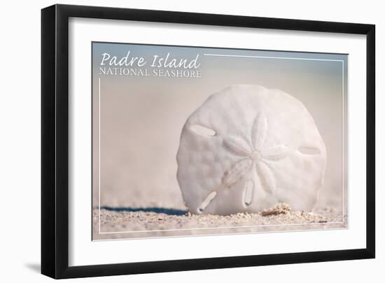 Padre Island National Seashore - Sand Dollar-Lantern Press-Framed Art Print