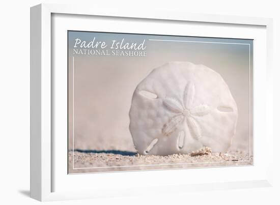 Padre Island National Seashore - Sand Dollar-Lantern Press-Framed Art Print