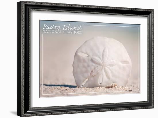 Padre Island National Seashore - Sand Dollar-Lantern Press-Framed Art Print