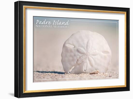 Padre Island National Seashore - Sand Dollar-Lantern Press-Framed Art Print