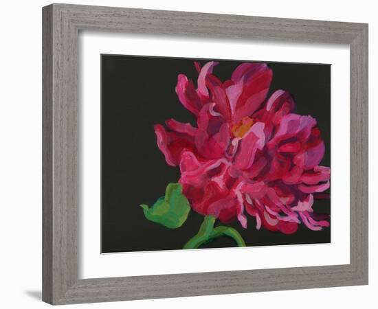 Paeonia 1-Deborah Barton-Framed Giclee Print