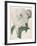 Paeonia Flagrans (Peony), 1827-Pierre Joseph Redoute-Framed Giclee Print