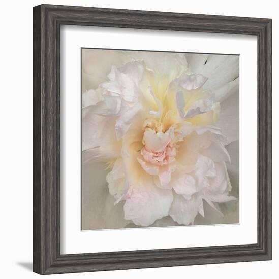 Paeonia-Rebecca Swanson-Framed Art Print