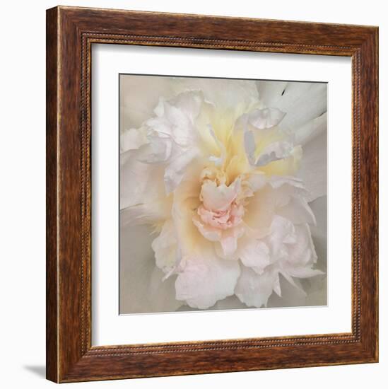 Paeonia-Rebecca Swanson-Framed Art Print