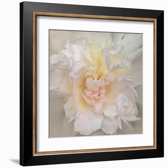 Paeonia-Rebecca Swanson-Framed Art Print