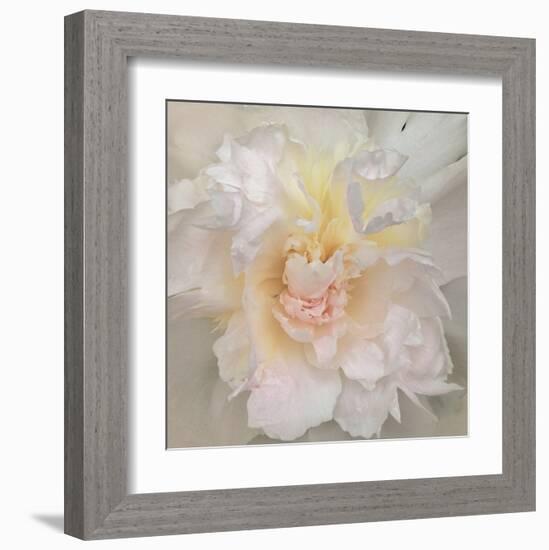 Paeonia-Rebecca Swanson-Framed Art Print