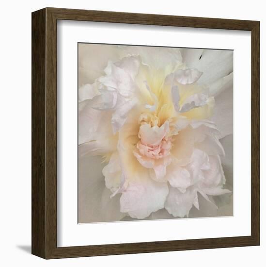 Paeonia-Rebecca Swanson-Framed Art Print