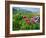 Paeony flowering, Italy-Konrad Wothe-Framed Photographic Print