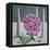 Paeony Still Life-Christopher Ryland-Framed Premier Image Canvas