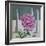 Paeony Still Life-Christopher Ryland-Framed Giclee Print