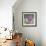 Paeony Still Life-Christopher Ryland-Framed Giclee Print displayed on a wall