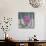 Paeony Still Life-Christopher Ryland-Mounted Premium Giclee Print displayed on a wall