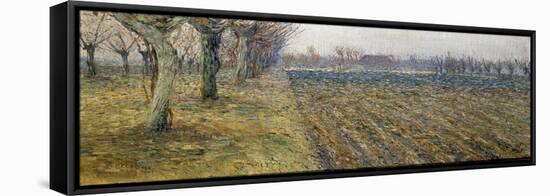 Paesaggio Vicino a Padova, 1903-Umberto Boccioni-Framed Premier Image Canvas