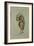 Page Bearing a Helmet-Inigo Jones-Framed Giclee Print