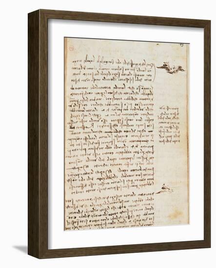 Page from the Codex Regarding the Flight of Birds-Leonardo da Vinci-Framed Giclee Print