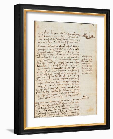 Page from the Codex Regarding the Flight of Birds-Leonardo da Vinci-Framed Giclee Print