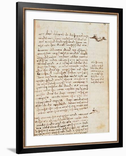 Page from the Codex Regarding the Flight of Birds-Leonardo da Vinci-Framed Giclee Print