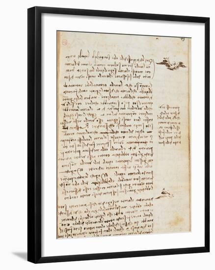 Page from the Codex Regarding the Flight of Birds-Leonardo da Vinci-Framed Giclee Print