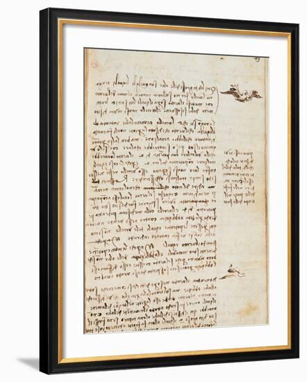 Page from the Codex Regarding the Flight of Birds-Leonardo da Vinci-Framed Giclee Print