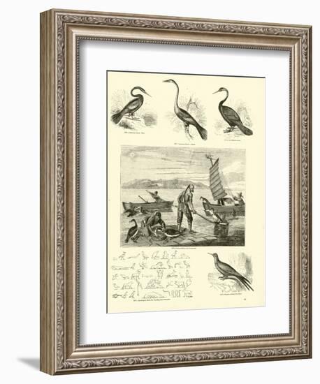 Page from the Pictorial Museum of Animated Nature-null-Framed Giclee Print