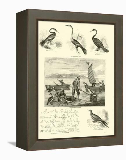 Page from the Pictorial Museum of Animated Nature-null-Framed Premier Image Canvas