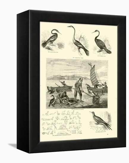 Page from the Pictorial Museum of Animated Nature-null-Framed Premier Image Canvas