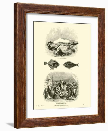 Page from the Pictorial Museum of Animated Nature-null-Framed Giclee Print