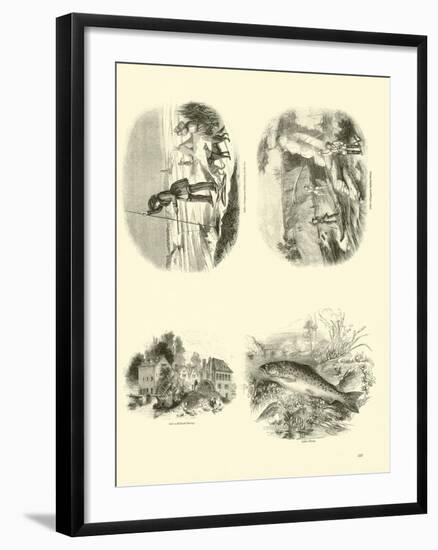 Page from the Pictorial Museum of Animated Nature-null-Framed Giclee Print