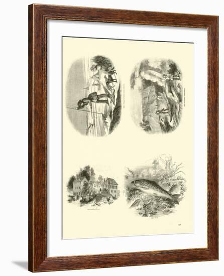 Page from the Pictorial Museum of Animated Nature-null-Framed Giclee Print