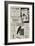 Page of Advertisements-null-Framed Giclee Print